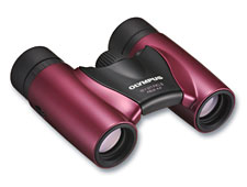 RCII_8x21_magenta__M