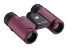 RCII_8x21_WP_magenta_TL__x290